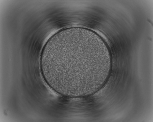 X0000090991333200708301303