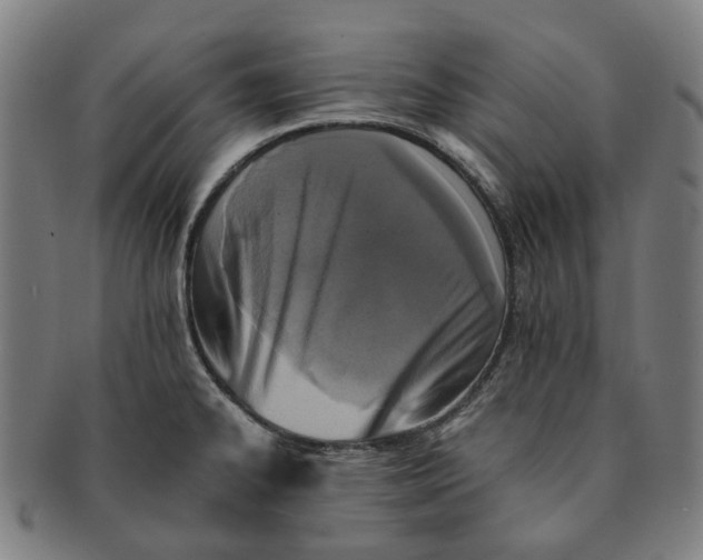 X0000090991334200708301303