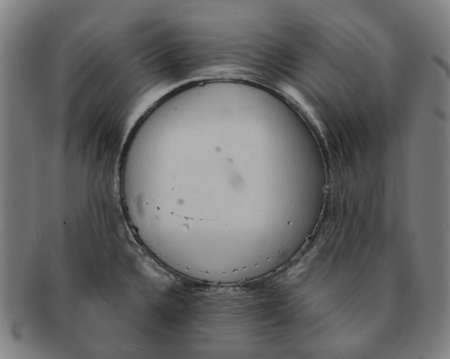 X0000090991336200708301303