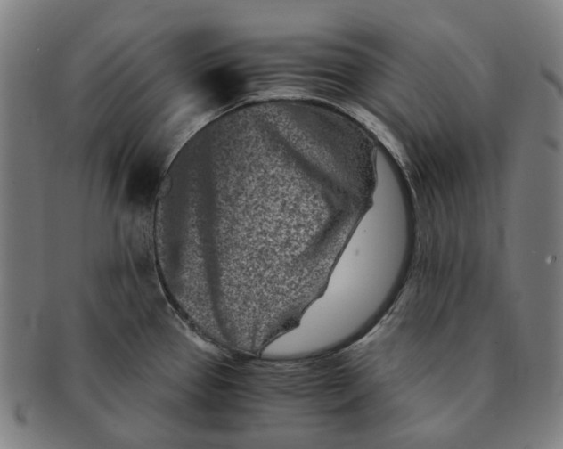 X0000090991337200708301303