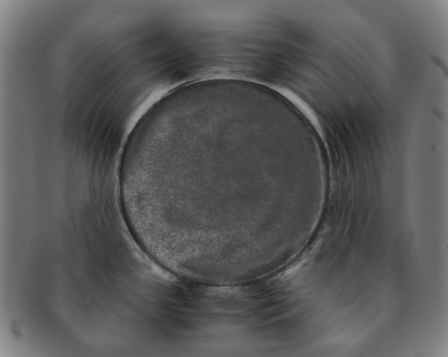 X0000090991341200708301304