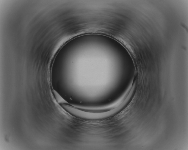 X0000090991342200708301304