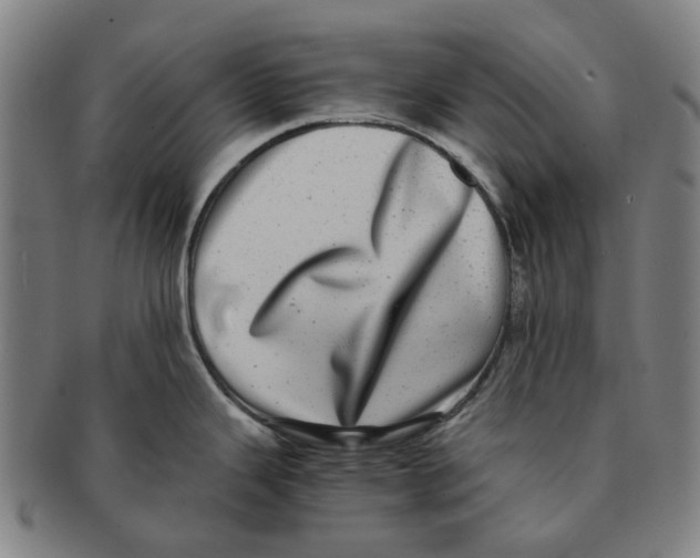 X0000090991343200708301304