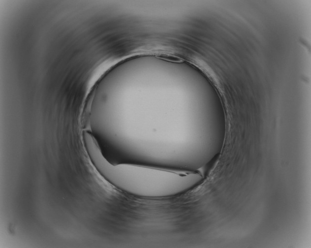 X0000090991344200708301304