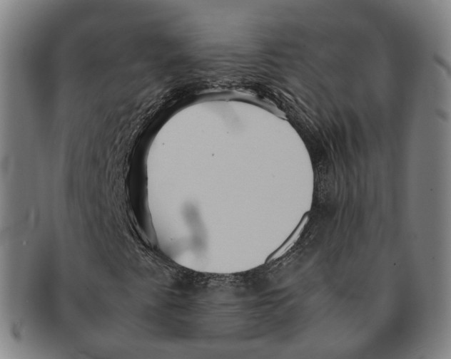 X0000090991345200708301303