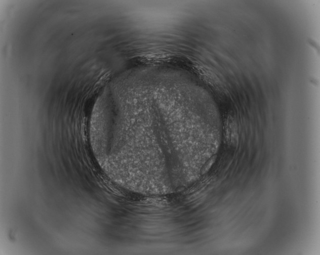 X0000090991346200708301303