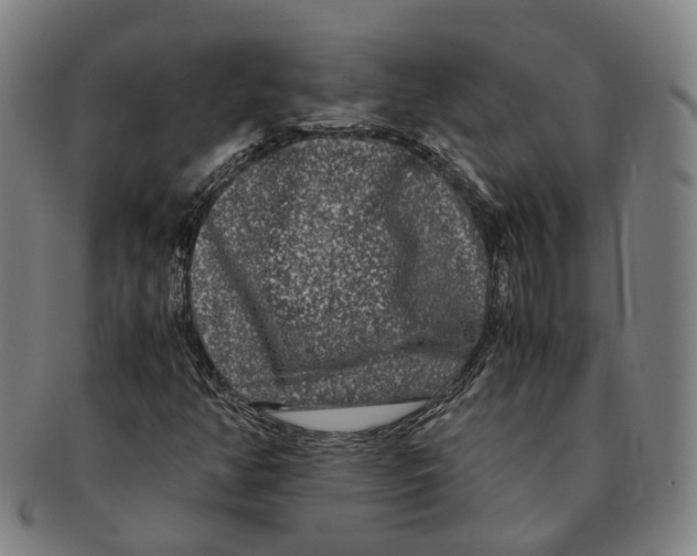 X0000090991350200708301303