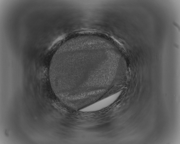 X0000090991351200708301303