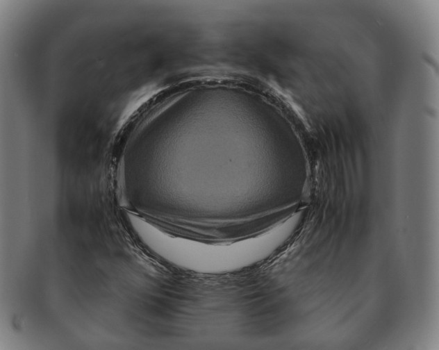 X0000090991352200708301303