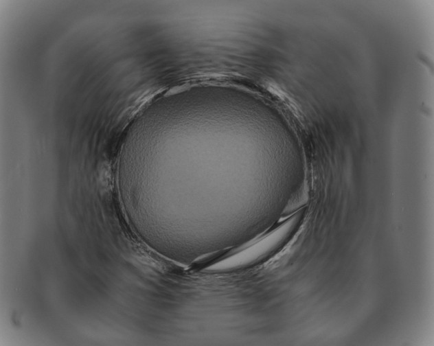 X0000090991353200708301303