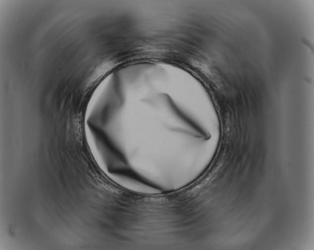 X0000090991354200708301303