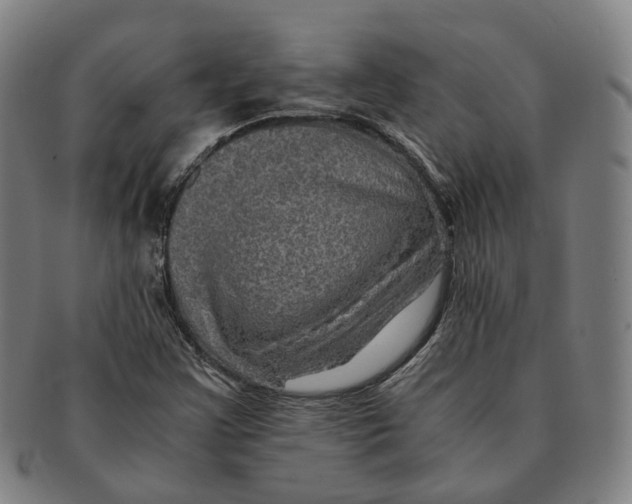 X0000090991355200708301303