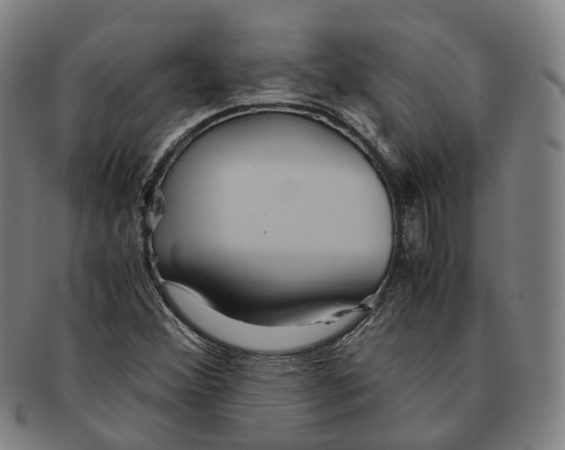 X0000090991356200708301303