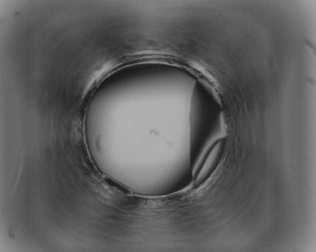 X0000090991357200708301303