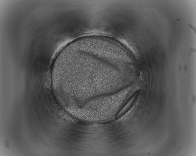 X0000090991358200708301303