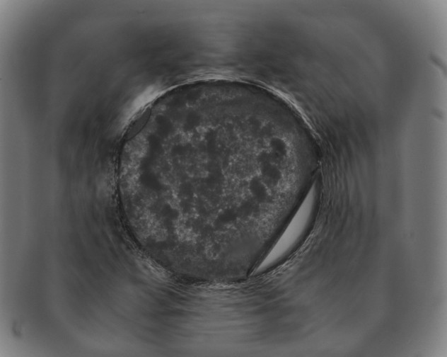 X0000090991359200708301303