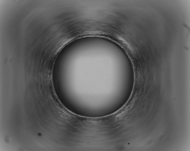 X0000090991361200708301303