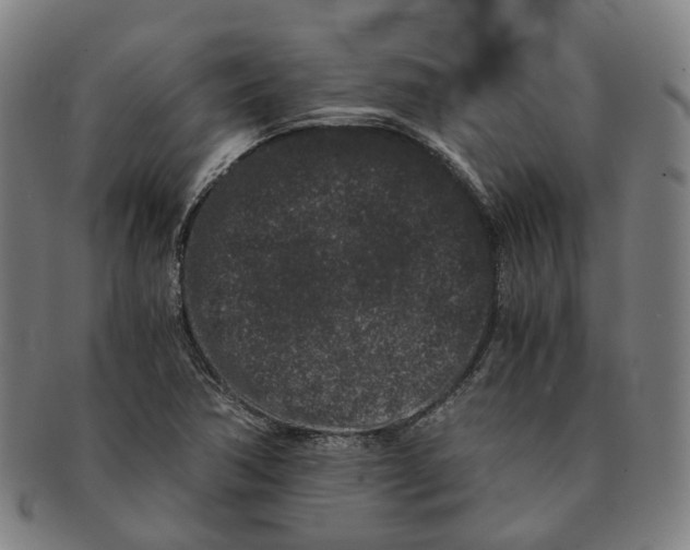 X0000090991362200708301303