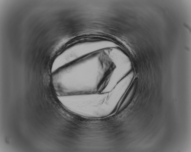 X0000090991363200708301303