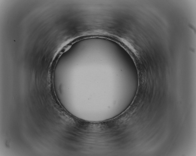 X0000090991364200708301303