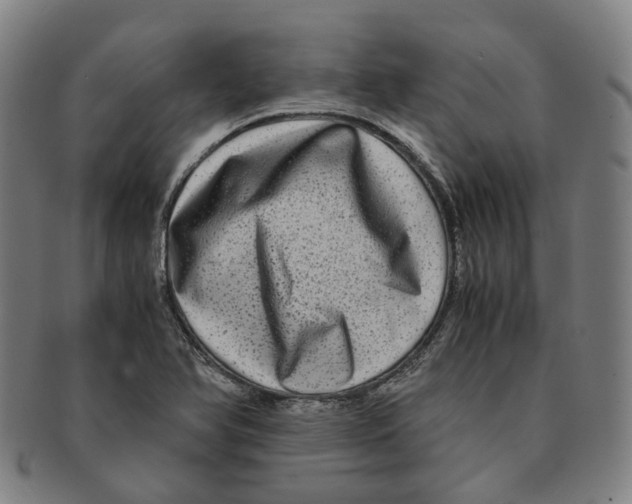 X0000090991366200708301303