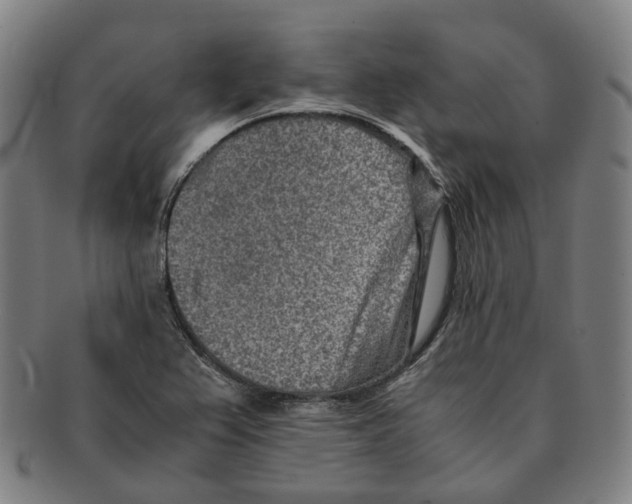 X0000090991367200708301303