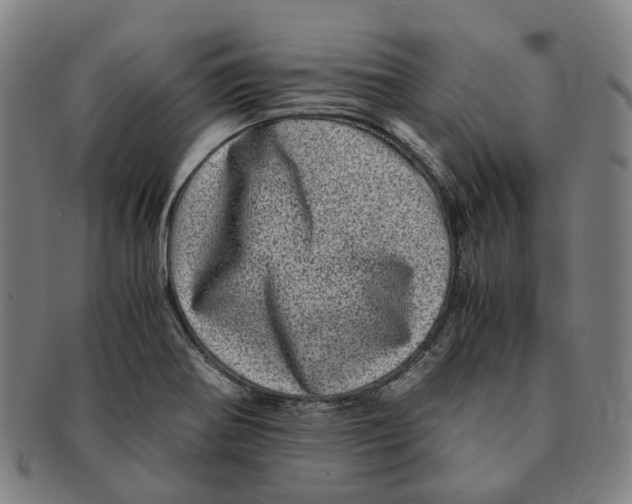 X0000090991370200708301303