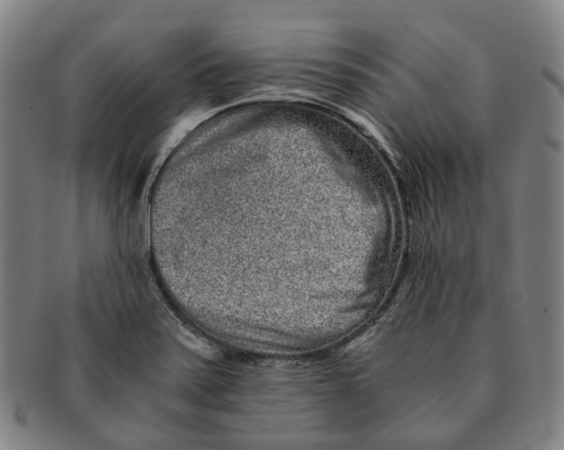 X0000090991371200708301303