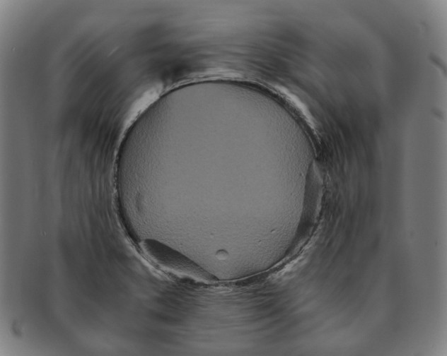 X0000090991373200708301303