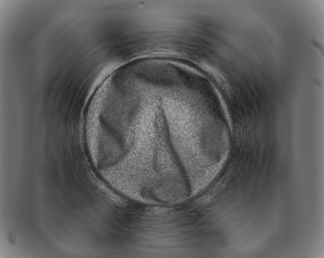 X0000090991374200708301303