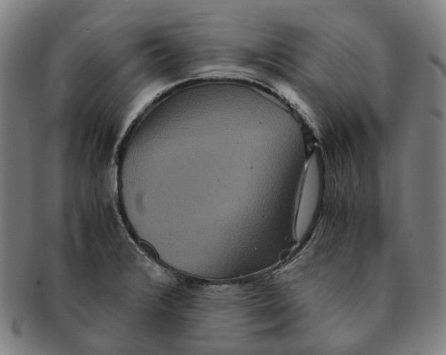 X0000090991376200708301302