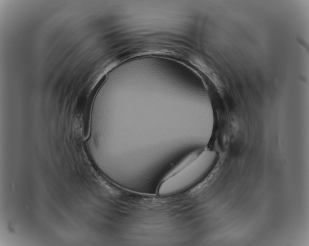 X0000090991377200708301302