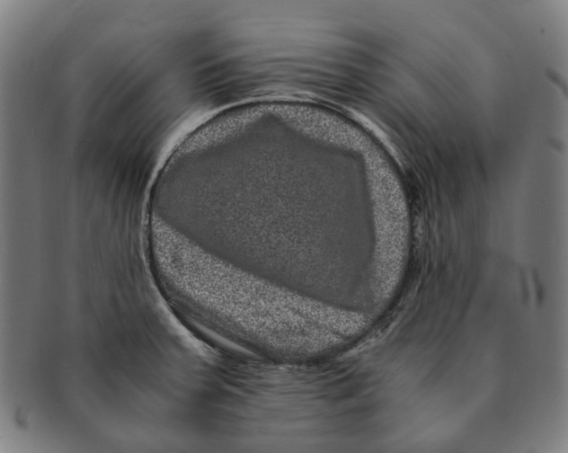 X0000090991379200708301302