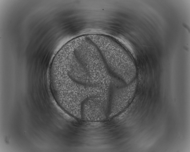 X0000090991382200708301302