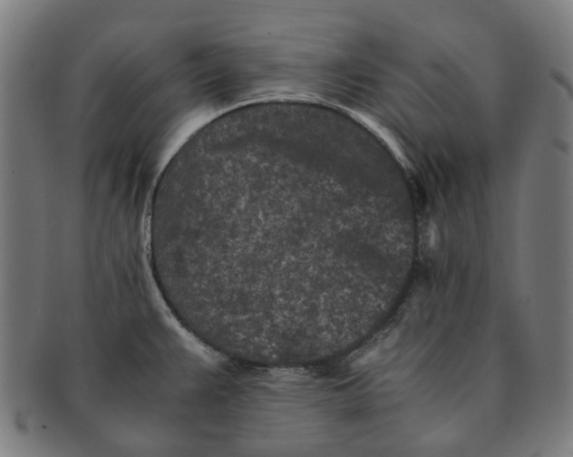 X0000090991383200708301302