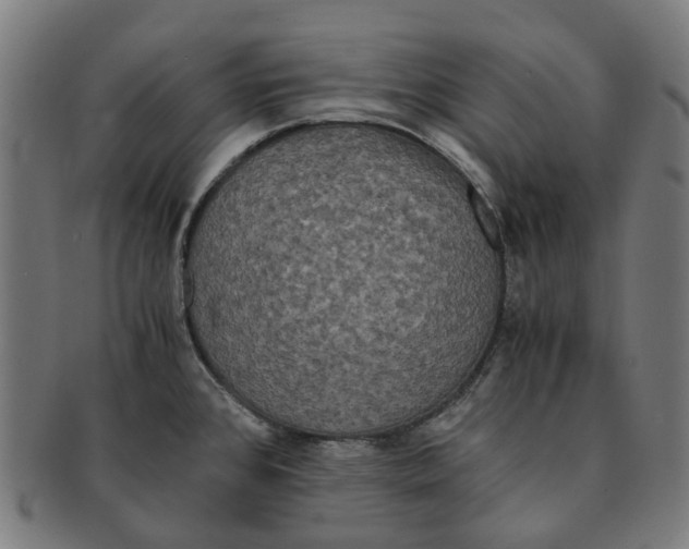 X0000090991384200708301302