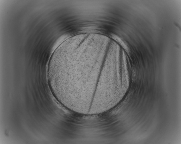 X0000090991386200708301302