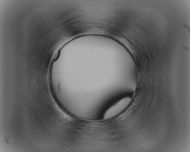 X0000090991387200708301302