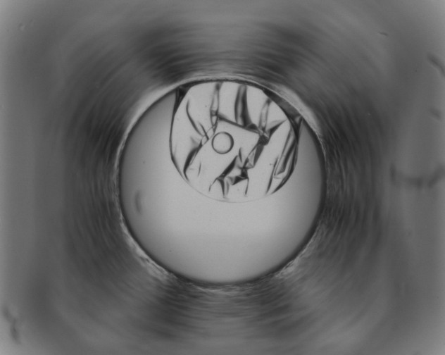 X0000090991388200708301302