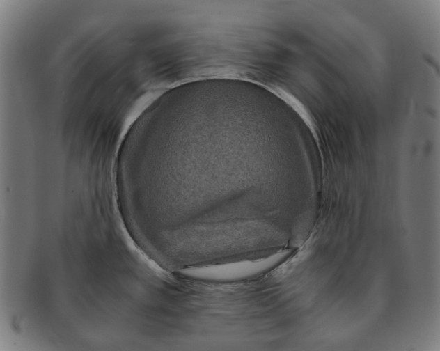 X0000090991389200708301302