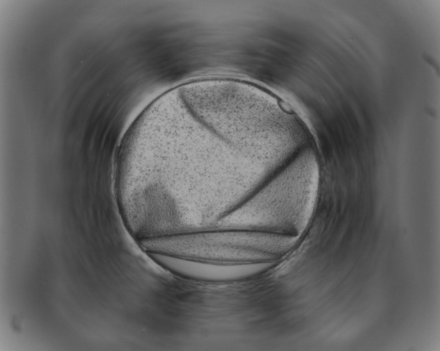 X0000090991390200708301302