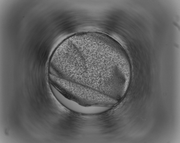 X0000090991392200708301302