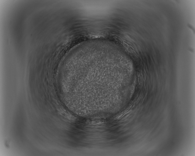 X0000090991393200708301302