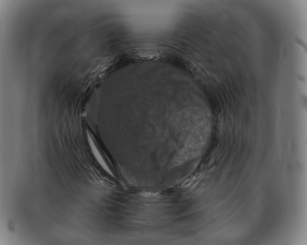 X0000090991394200708301302