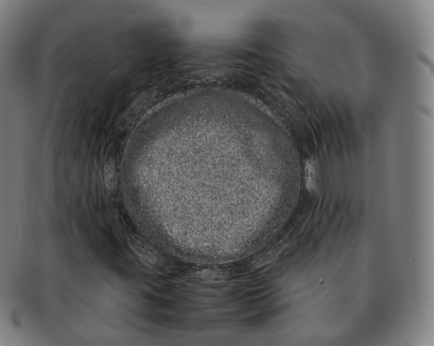 X0000090991395200708301302