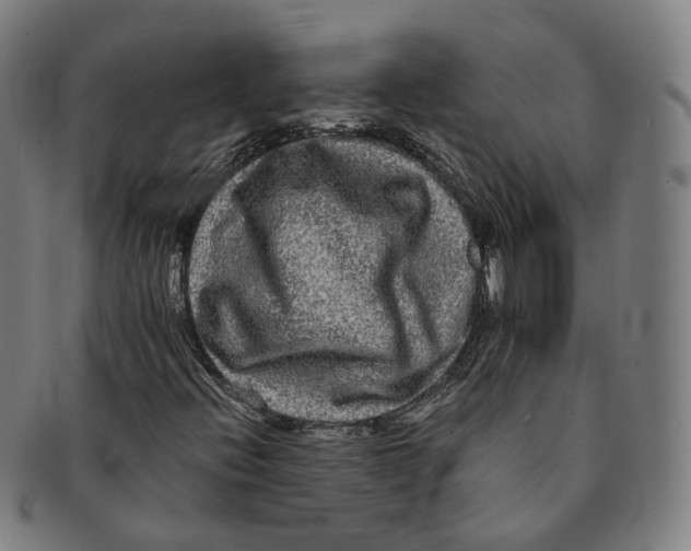 X0000090991396200708301302