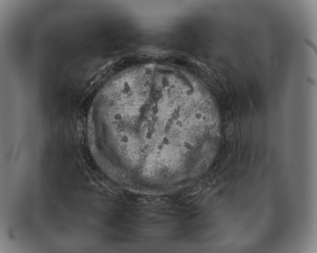 X0000090991397200708301302