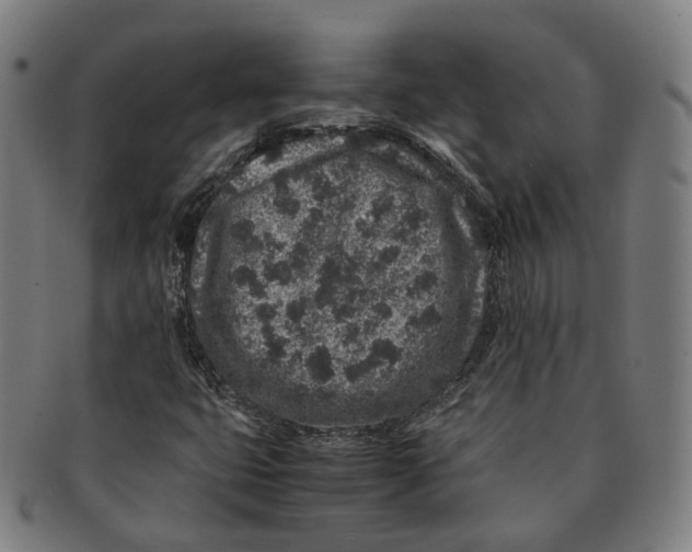 X0000090991399200708301302