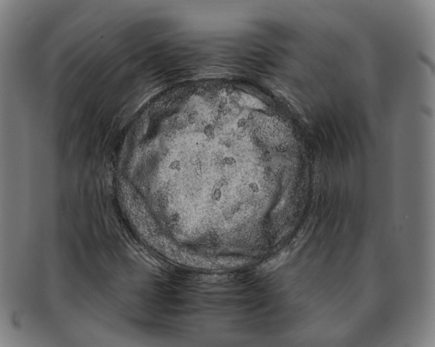 X0000090991401200708301302