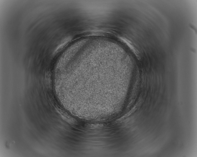 X0000090991403200708301302